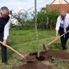 Die Bürgermeister Richard Tischler und Joachim Markert (von links) pflanzten einen Apfelbaum in Pfreimd, Symbol der mittlerweile 50-jährigen Städtepartnerschaft.