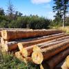 Burkardroth: Wird Brennholz noch teuer?