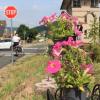 Liebevoll gestalten Anwohner den Rhönexpress-Radweg in Bad Brückenau. Gastronomische Angebote gibt es hier direkt am Radweg nicht.