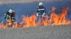 Auf trockenen Feldern hat Feuer ein leichtes Spiel: Feuerwehrleute versuchen den Brand mit sogenannten Waldbrandpatschen in Schach zu halten, bis die Versorgung mit Löschwasser steht.
