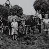 Arbeit auf dem Feld war auch schon für Kinder angesagt, dokumentieren Bilder aus dem Landleben von Herschfeld. Arbeit auf dem Feld war auch schon für Kinder angesagt, dokumentieren Bilder aus dem Landleben von Herschfeld.