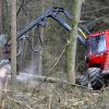 Ein Harvester arbeitet sich durch den Königshöfer Stadtwald.