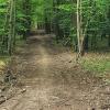 Soll so der Radweg der Zukunft als schnelle Verbindung von Kist nach Gerchsheim aussehen? Soll so der Radweg der Zukunft als schnelle Verbindung von Kist nach Gerchsheim aussehen?