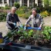 Unsere ehrenamtlichen Helferinnen bepflanzten das Hochbeet.