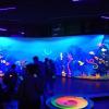 Beim Schwarzlicht-Minigolfen. Beim Schwarzlicht-Minigolfen.