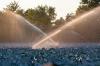Wie viel Wasser haben Industrie, Landwirte, Winzer und Kommunen in Unterfranken abgepumpt? Bei fast 60 Prozent aller Wasserrechte liegt den Landratsämtern für 2018 bis 2021 keine einzige Angabe dazu vor. Wie viel Wasser haben Industrie, Landwirte, Winzer und Kommunen in Unterfranken abgepumpt? Bei fast 60 Prozent aller Wasserrechte liegt den Landratsämtern für 2018 bis 2021 keine einzige Angabe dazu vor.