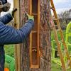 Das Innenleben einer "Bienenbotschaft"-Klotzbeute ist für den Imker sichtbar und zugänglich. Das Innenleben einer "Bienenbotschaft"-Klotzbeute ist für den Imker sichtbar und zugänglich.