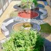 Der Sinnesgarten im Innenhof der Psychiatrischen Klinik des Uniklinikums Würzburg am Margarete-Höppel-Platz ist ein Wohlfühlort mit therapeutischem Anspruch.