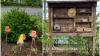 Die Marienkäferhäuser und das Insektenhotel. Die Marienkäferhäuser und das Insektenhotel.