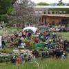 Am 21. Mai gibt es wieder eine Pflanzenbörse im Botanischen Garten am Würzburger Dallenberg.