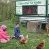 Über frische Löwenzahn- und Salatblätter freute sich die Hühnerschar im Garten der SVE. Daniel, Tahani und Emely haben viel Freude beim Füttern der Tiere.