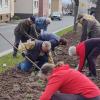 In der Gemeinde Sandberg wurde eifrig gepflanzt.