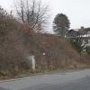 Der Verteilerkasten für die Straßenbeleuchtung auf dem verwilderten Baugrundstück in der Bergstraße