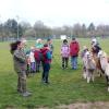 Familienwanderung mit Alpakas.