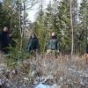 Das Aufforsten von kahlen Flächen soll im Wald von Hendungen forciert werden.