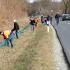 An den Krötenzäunen sammeln Helfer die Amphibien ein und bringen sie in Eimern über die Straße.