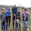 Ärger und Bestürzung bei den Kommunionkindern von Aschfeld: Der von ihnen gesetzte Walnussbaum wurde mutwillig beschädigt.