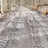 Stark in Mitleidenschaft gezogen durch Holzrückemaßnahmen wurde der Waldweg durch das "Buch". Er soll nun nach Abschluss dem der Forstarbeiten neu geschottert werden.