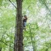 Baumklettern ist eines nur eines der vielen der Angebote des Steigerwald-Zentrums in Handthal in den kommenden Monaten.