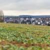 Gegen den Willen der Bürgerversammlung: Der Würzburger Stadtrat beschloss nun die Planung für ein Baugebiet in Lengfeld, zwischen Carl-Orff-Str. und Georg-Engel-Straße. Im Bild die Fläche für das Baugebiet mit Blick in Richtung Lengfeld.
