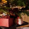 Worum geht es an Weihnachten wirklich? Nach fast drei Jahren Corona-Pandemie mit sozialer Distanz sehnen sich die Menschen vielleicht eher nach Begegnungen statt nach Geschenken. Worum geht es an Weihnachten wirklich? Nach fast drei Jahren Corona-Pandemie mit sozialer Distanz sehnen sich die Menschen vielleicht eher nach Begegnungen statt nach Geschenken.