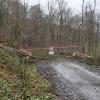 Der massive Holzeinschlag in diesem Jahr in Holzkirchener Gemeindewald hinterlässt seine Spuren, deshalb mussten auch einige Waldwege gesperrt werden.