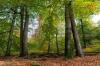 Blick in die Wälder des Spessarts.