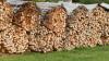 In Hasloch sind die Einnahmen aus dem Holzverkauf zurückgegangen.