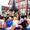 Beim Auftakt der Veranstaltungsreihe "VEREINt Kultur leben" begeisterten die "Rhöner Rucksack-Musikanten" die zahlreichen Besucher.