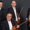 Zusammen mit Solisten steht das Bamberger Streichquartett bei den Schlosskonzerten in Oberschwappach auf der Bühne.