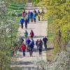 Bei der Seniorenwanderung des DJK-Diözesanverbands in und um Waldbüttelbrunn mit Stefan Muth (vorne rechts), der eine der zwei Gruppen anführte.