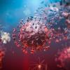 Das Corona-Virus hält Stadt und Landkreis Würzburg weiterhin in Atem.