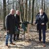 Sie enthüllten die Schleife am Erinnerungsbaum. Auf dem Bild von links 1.Bürgermeister Klaus Schenk, Thomas Venus (Blauwald GmbH) und Matthias Laufer (FriedWald GmbH).