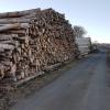 Aufgrund der Lohnkosten- und Preisentwicklung hat sich der Gemeinderat Oberelsbach dafür entschieden, die Holzpreise leicht anzuheben.