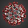 Das Corona-Virus hat in Stadt und Landkreis Würzburg drei weitere Todesopfer gefordert.
