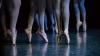 Die Ballett-Abteilung des TSV Lohr löst sich nach der überraschenden Kündigung von Trainerin Cornelia Hoffmann auf.
