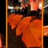 Impressionen von "Würzburg leuchtet orange" aus dem vergangenen Jahr 2020.
