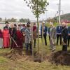 Am neugestalteten Parkplatz in der Gemündener Hafenstraße pflanzten die Städtepartnerschaftskomitees von Duiven und Gemünden einen weiteren Partnerschaftsbaum.