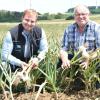Der Knoblauch ist erntereif, doch Andreas Türk (links) und Markus Werner machen sich wegen der ständigen Niederschläge Sorgen.
