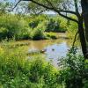 Das Buhnenfeld bei Randersacker ist ein wertvolles Biotop und ein Rückzugsort für allerlei Lebewesen im und am Wasser. Das Buhnenfeld bei Randersacker ist ein wertvolles Biotop und ein Rückzugsort für allerlei Lebewesen im und am Wasser.