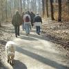 Die Natur ist eine große Trösterin, wie ein Spaziergang mit Schicksalsgefährten im Bruderwald beweist.