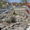 Vorher: Eine insektenunfreundliche Steinwüste auf der Verkehrsinsel vor Saal. Vorher: Eine insektenunfreundliche Steinwüste auf der Verkehrsinsel vor Saal.