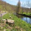 Der von vielen Radfahrern beklagte "Kahlschlag" der Eschen entlang des Tauberufers bei Bieberehren war nach Angaben vom zuständigen Wasserwirtschaftsamt Aschaffenburg aus Sicherheitsgründen unerlässlich.