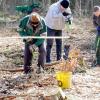 Wichtig ist der Abstand: Aber nicht nur wegen des Corona-Infektionsschutzes, sondern auch der Pflanzabstand bei der Neubepflanzung im Waldgebiet Gehaid in Unterspiesheim ist entscheidend.