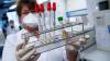 Eine Mitarbeiterin am Institut für Virologie der technischen Universität München (TUM) bereitet Proben von Menschen mit Covid-19-Verdacht in einem Labor für die weitere Analyse vor.