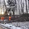 Einige Bäume im Wäldchen direkt an der Straße nach Wiebelsberg mussten  gefällt werden.