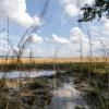 Das Biosphärenreservat lädt am 2. Dezember zu einem Online-Seminar zum Thema Wasser in der Landschaft halten ein.