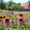 Das Fränkische Freilandmusuem (im Hintergrund) nutzte das weitläufige Gelände um coronakonformen Besuch zu ermöglichen, wie beispielsweise bei Themenwochen, die über den Sommer stattfanden.
