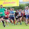 Auch in diesem Jahr am Start: der Panorama-Baumwipfel-Lauf in Oberschwarzach