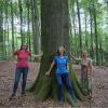 Im Bild von links: Lisa Badum, Eva Lettenbauer und Ursula Sowa. Im Bild von links: Lisa Badum, Eva Lettenbauer und Ursula Sowa.